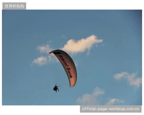 南非队的进攻发起点和终结点较为单一,对手很容易通过针对性布防进行限制。 南非队的进攻发起点和终结点较为单一,对手很容易通过针对性布防进行限制。